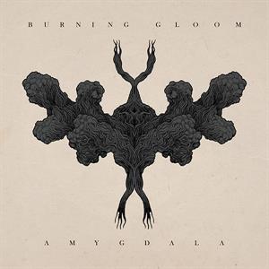 Amygdala