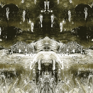 Tadpoles by Wheeldon, Nick
