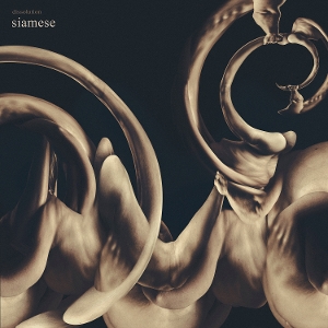 Dissolution by Siamese