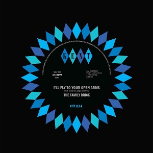 7-I'll Fly To Your Open Arms / Did She Do It To You by Family Brick / Ray Gan...