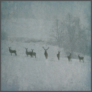 Winterstille by Rauhnacht