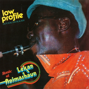 Low Profile (Not For the Blacks) by Animashaun, Lekan