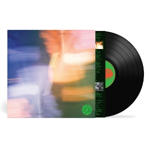 Curio Curio by Curio Curio