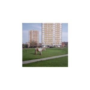 It Goes On by Westside Cowboy