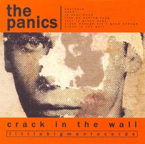 Crack In the Wall by Panics