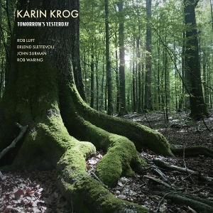 Tomorrow's Yesterday by Krog, Karin