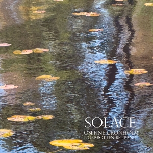 Solace by Cronholm, Josefine
