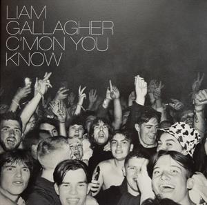 C Mon You Know by Gallagher, Liam