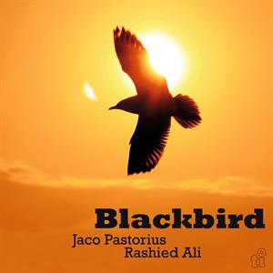 Blackbird by Jaco Pastorius & R...