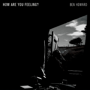 How Are You Feeling? by Howard, Ben