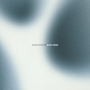 Some Kind of Pure State by Dharma Chain