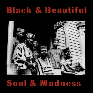 Black and Beautiful Soul and Madness by Baraka, Amiri
