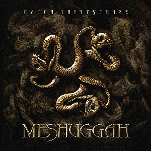 Catch Thirty Three by Meshuggah