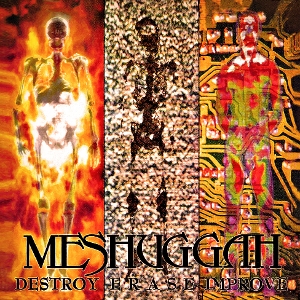 Destroy Erase Improve by Meshuggah