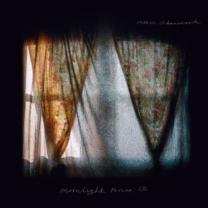 Moonlight Passes On by Attic Abasement