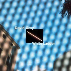 White Ladder by Gray, David