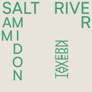 Salt River by Amidon, Sam