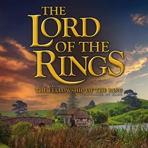 The Fellowship of the Rings by Lord of the Rings (Mask)