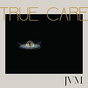 True Care by McMorrow, James Vincent