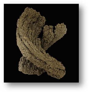Emergence by Cooper, Max