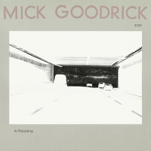 In Pas(S)Ing by Goodrick, Mick