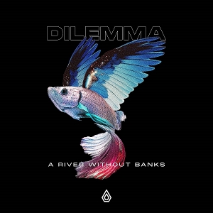A River Without Banks by Dilemma