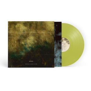 Surface, Echo and Sound by Editors