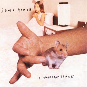 A Thousand Leaves by Sonic Youth