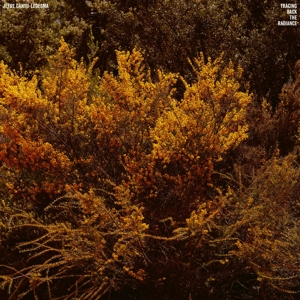 Tracing Back the Radiance by Cantu-Ledesma, Jefre