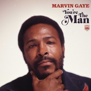 You're the Man by Gaye, Marvin