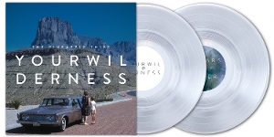 Your Wilderness by Pineapple Thief