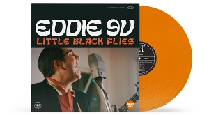 Little Black Flies