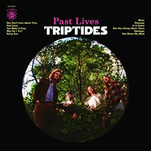 Past Lives by Triptides