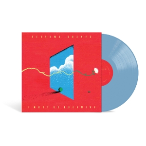 I Must Be Dreaming by Alabama Shakes