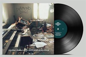 Similar Shakes Different Distortion by Diamond Dogs