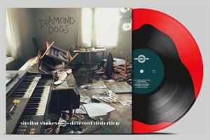 Similar Shakes Different Distortion by Diamond Dogs