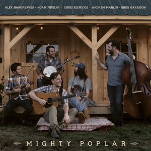 Mighty Poplar by Mighty Poplar