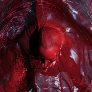 Not Here Not Gone by Blackwater Holylight