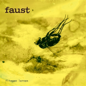 Fliegen Lernen by Faust