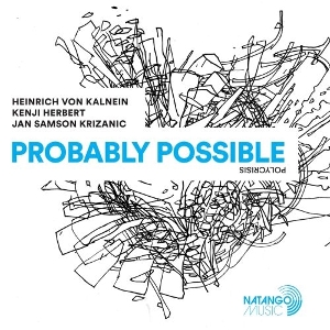 Probably Possible by Kalnein, Heinrich von