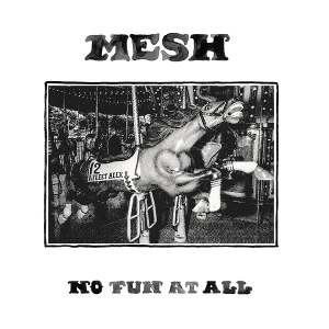 No Fun At All by Mesh