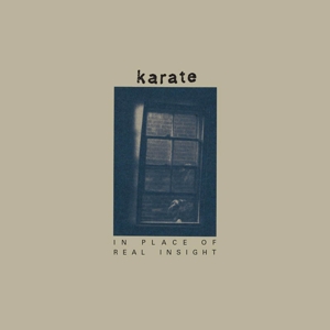 In Place of Real Insight by Karate