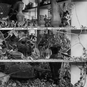Windy & Carl Meet Optigan Conservatory by Windy & Carl & Opt...