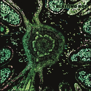 Of Wild Hazel by Blasting Rod