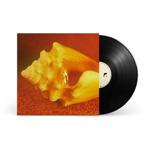 Sirenas by Allah-Las