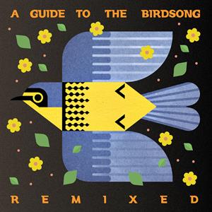 A Guide To the Birdsong Remixed by V/A