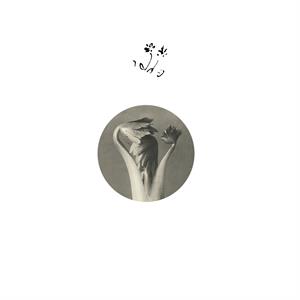 Longevity Eyebrow by Returning Sweetness (E...