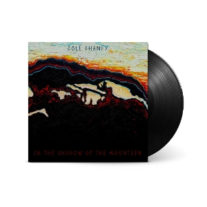 In the Shadow of the Mountain by Chaney, Cole