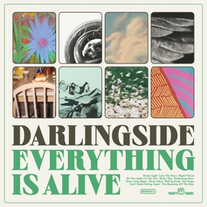 Everything is Alive by Darlingside