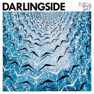 Birds Say by Darlingside